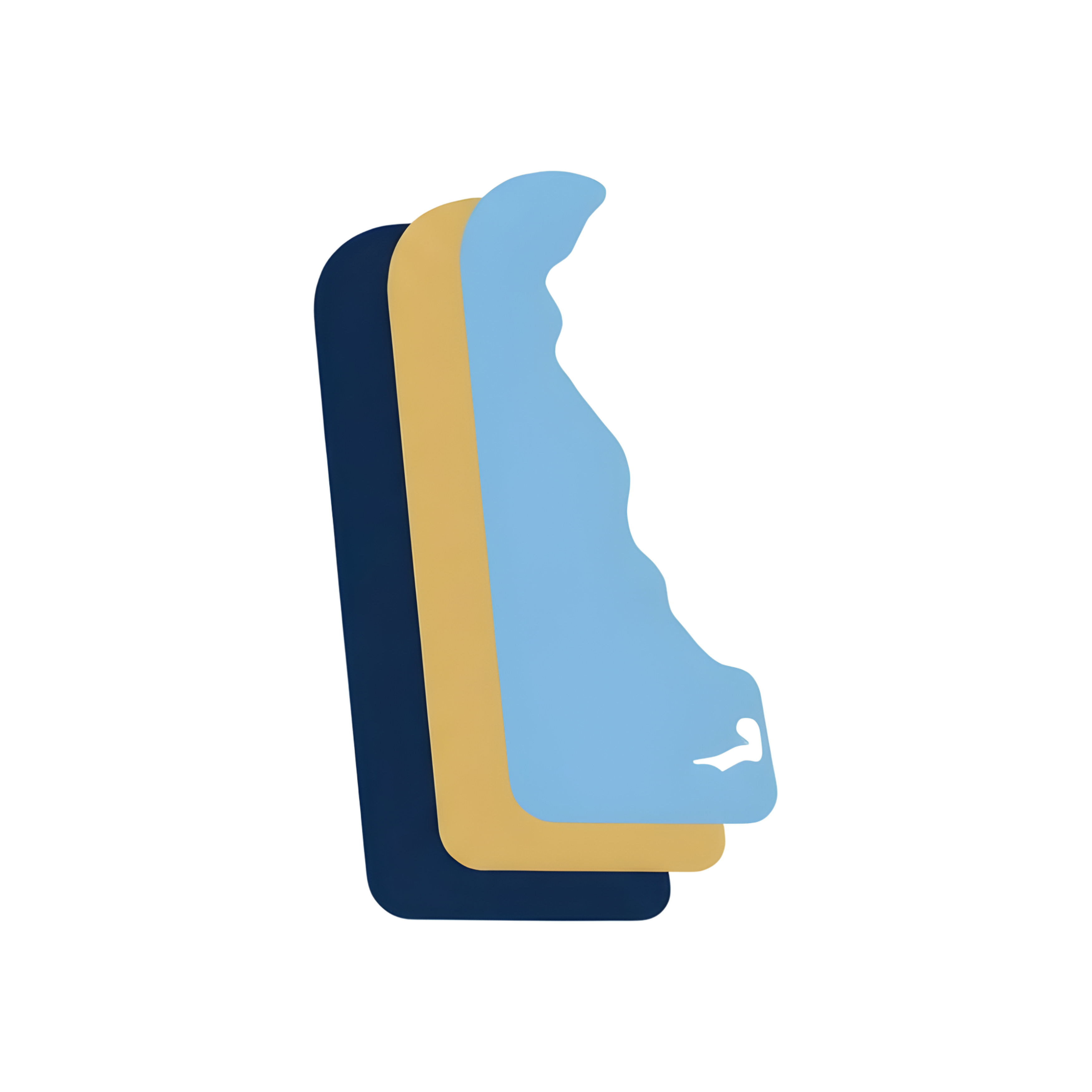 Delaware Zoning Logo